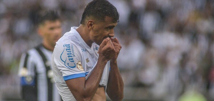 Foto: Marcelo Gil/@celogilfotografia