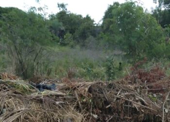 Corpo decapitado é encontrado dentro de saco em Camaçari