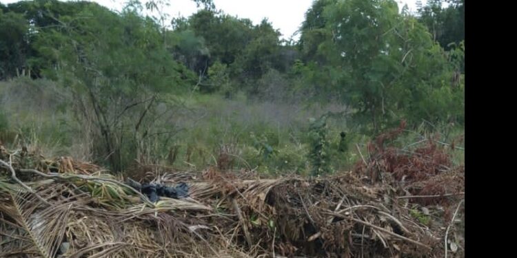 Corpo decapitado é encontrado dentro de saco em Camaçari