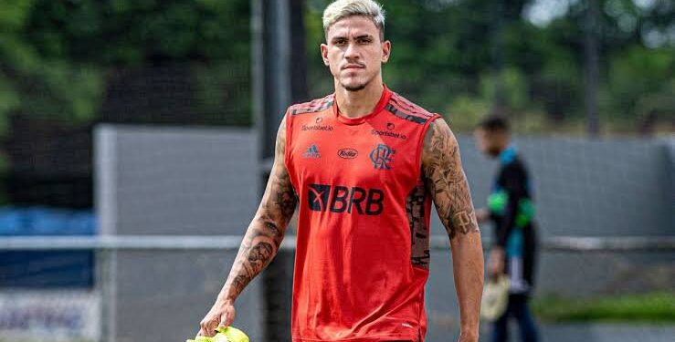 Pedro volta a ser relacionado por Sampaoli para jogo do Flamengo no Brasileiro