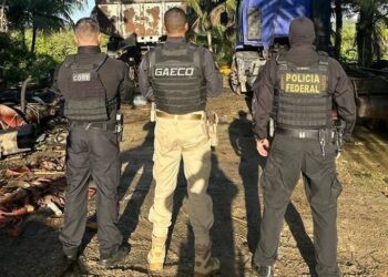 Grupo criminoso que fazia desvios de insumos agrícolas é alvo de operação na Bahia