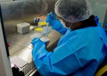 Novo remédio para hepatite C poderá baixar custo do tratamento no SUS