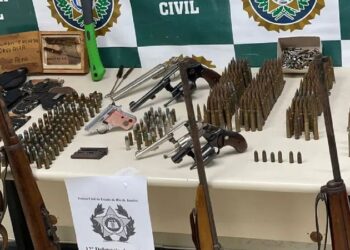 Polícia encontra 8 armas em casa de funcionário da prefeitura de Copabacana e homem acaba preso