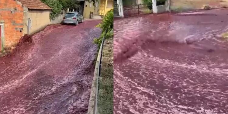 Cidade portuguesa é inundada por ‘rio’ de vinho tinto após depósito estourar