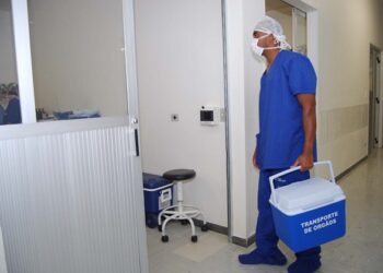 Empresa de jatinhos transporta, gratuitamente, órgãos para transplantes