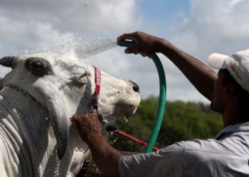 Governo anuncia cancelamento da Fenagro Salvador em 2023