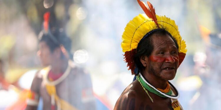 Barroso determina que governo federal tome medidas para garantir alimentos ao povo Yanomami
