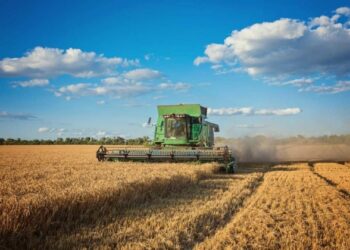 Safra de grãos 2023/2024 inicia com previsões promissoras na região oeste do estado