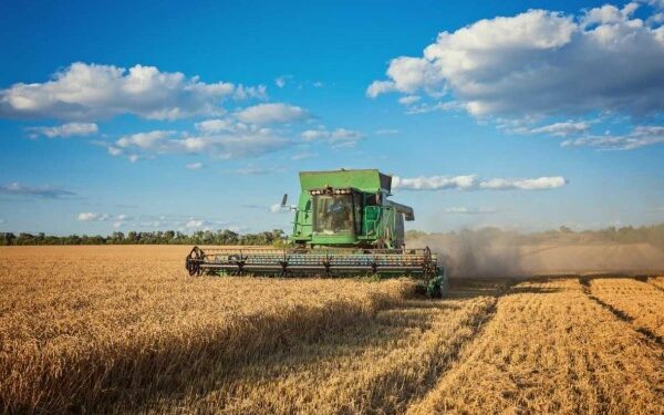 Safra de grãos 2023/2024 inicia com previsões promissoras na região oeste do estado