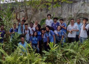 Votação popular pode implementar jardins de chuva em escolas públicas