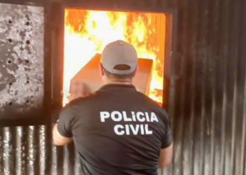 Dez toneladas de carga ilegal de cigarros são incineradas em Conquista