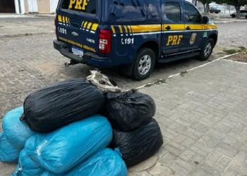 PRF apreende quase 100 kg de maconha no norte de Bahia