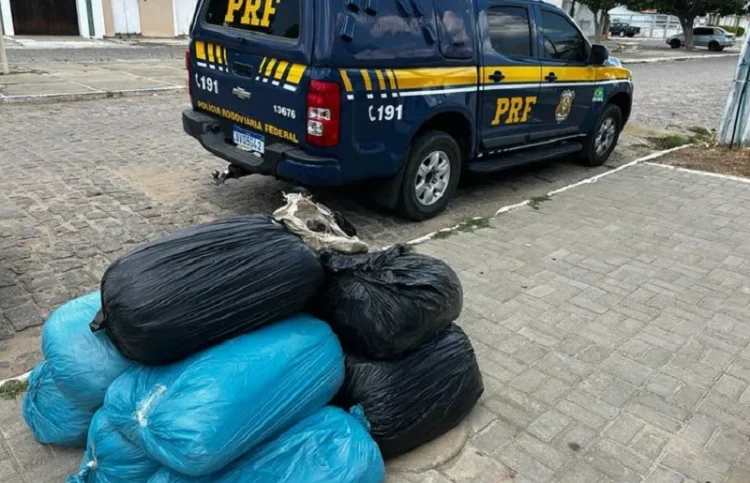- Foto: Divulgação / PRF