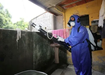 Salvador deixa lista de cidades em epidemia de dengue