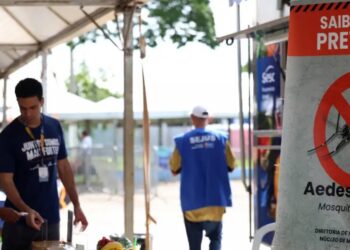 Casos de dengue no Brasil caem 60% nas primeiras semanas do ano