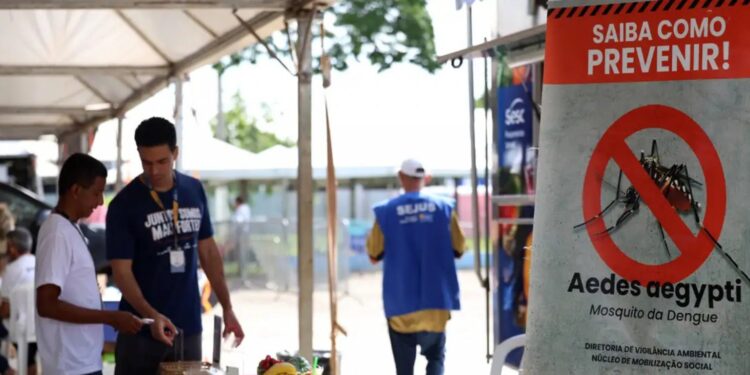Casos de dengue no Brasil caem 60% nas primeiras semanas do ano