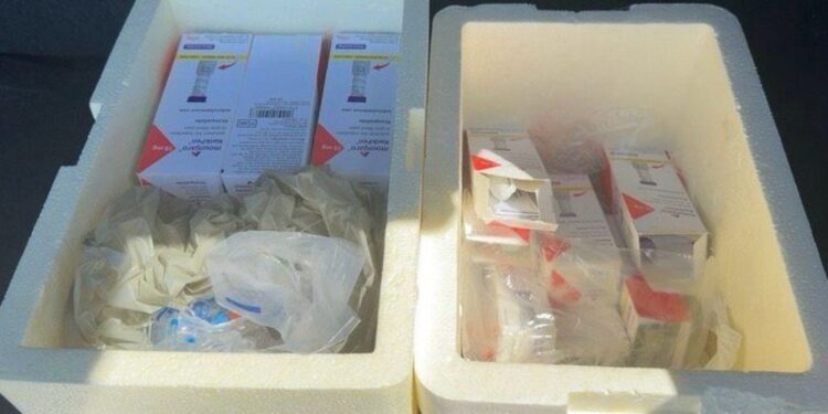 Carga ilegal de remédios para emagrecer é apreendida pela PF