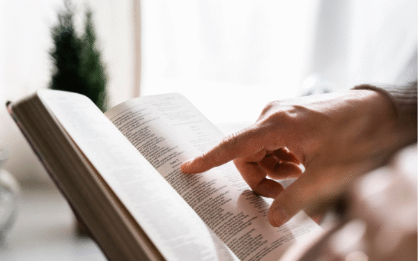 Vereador quer incluir Bíblia como livro paradidático em escolas de Salvador