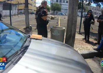 CADÊ O CORPO? Crânio é encontrado dentro de lixeira no bairro do Comércio, em Salvador, nesta segunda-feira (6)