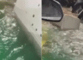 VÍDEO: Água do mar invade ferry-boat e passageiros se desesperam