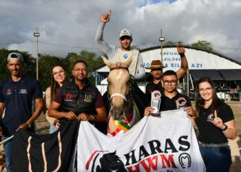 Expo Mangalarga Marchador 2025 movimenta Parque de Exposições de Alagoinhas