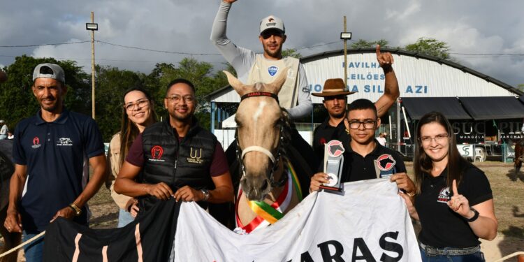 Expo Mangalarga Marchador 2025 movimenta Parque de Exposições de Alagoinhas