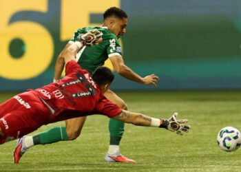 Valeu secar! Santos perde do Palmeiras e Vitória fecha rodada fora do Z-4