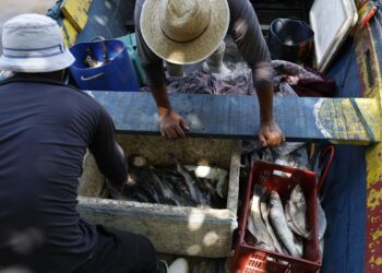 Pescadores beneficiados pelo Seguro-Defeso recebem 6º lote nesta terça