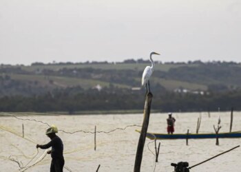 Sexto lote do seguro-defeso será disponibilizado na terça-feira