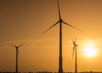 FUP defende transição energética que fortaleça estatais e gere emprego