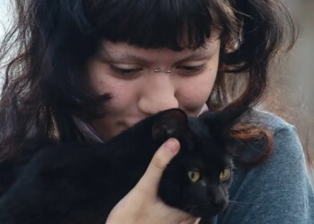 Programa da Prefeitura de SP faz castração gratuita de cães e gatos