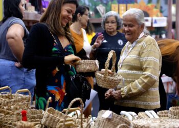 Brasil já tem 4,5 milhões de empreendedores da Economia Prateada