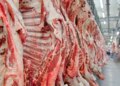 Governo promete reverter veto da UE a carnes e animais brasileiros