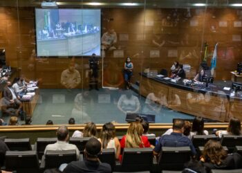 Médica diz que Henry Borel chegou ao hospital tecnicamente morto