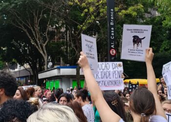 Cão Orelha: Justiça arquiva caso a pedido do Ministério Público
