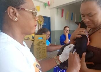 Sesau imuniza mais de 100 cães e gatos em ação especial de vacinação antirrábica
