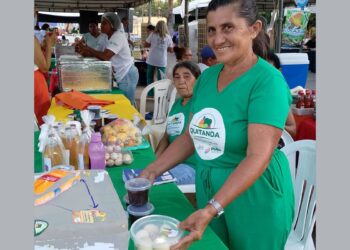 Agricultores familiares aumentam renda em 30% com programa federal
