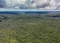 Adversária em campo, Noruega é parceria de ações ambientais do Brasil