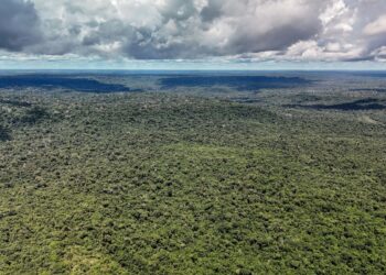 Adversária em campo, Noruega é parceria de ações ambientais do Brasil