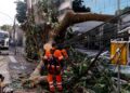 Rede elétrica mais resiliente requer investimento de concessionárias