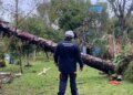 Rio Grande do Sul: chuvas deixam 720 desabrigados em Eldorado do Sul