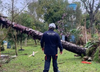Rio Grande do Sul: chuvas deixam 720 desabrigados em Eldorado do Sul