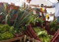 Decreto adia exigência de CNPJ para autônomos e produtores rurais