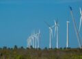 Projeto mapeia caminhos para economia verde no Nordeste