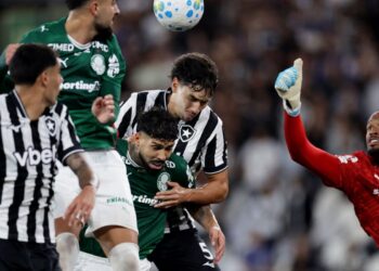 Botafogo segura Palmeiras e ajuda Flamengo, novo líder do Brasileirão