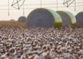 Entenda mudança no mapa que tirou Sorriso do topo da produção agrícola