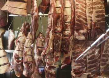 Cota chinesa faz exportação de carne bovina recuar 27,1% em agosto