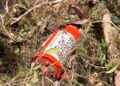Cenipa recupera caixa preta de helicóptero que levava cantor Rick
