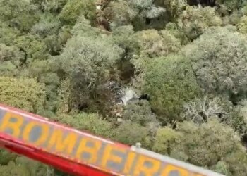 Cenipa abre investigação para apurar causas de queda de helicóptero
