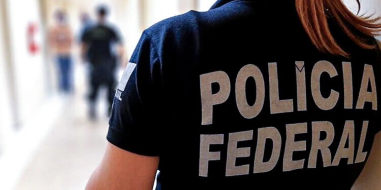 PF faz operação contra fraudes no registro de armas de colecionadores